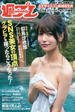 乡村野花香全文